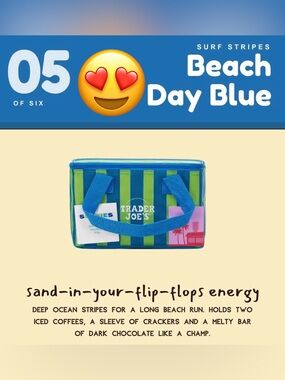 Trader Joe's Blue & Green Striped Mini Insulated Tote